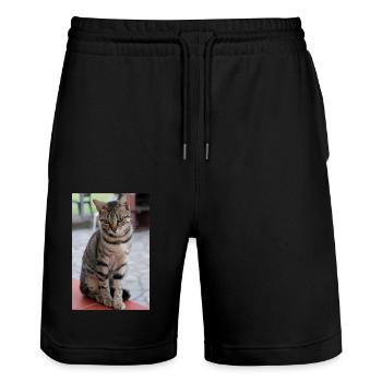 chat, chaton - Short de jogging bio TRAINER Stanley/Stella unisexe - noir - Devant - Nik (191cm) & Marisol (170cm)