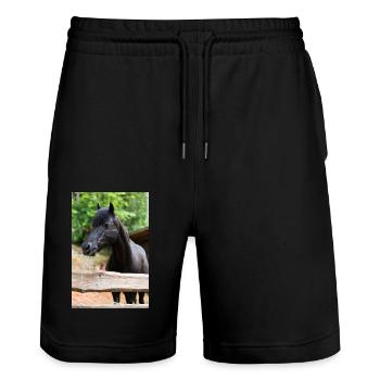 wunderschönes schwarze Ponystute Bianca - Stanley/Stella Unisex Bio Joggingshorts Trainer  - Schwarz - Vorne - Nik (191cm) & Marisol (170cm)