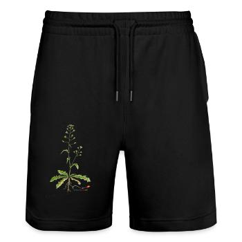 Hirtentäschel (Capsella bursa pastoris) - Stanley/Stella Unisex Bio Joggingshorts Trainer  - Schwarz - Vorne - Nik (191cm) & Marisol (170cm)