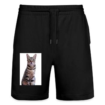 Cat Kitten - Stanley/Stella Trainer Unisex Organic Jogging Shorts - black - Front - Nik (191cm) & Marisol (170cm)