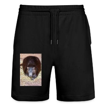 Hutia cubain aussi hutia-conga aussi huti de Desmarest - Short de jogging bio TRAINER Stanley/Stella unisexe - noir - Devant - Nik (191cm) & Marisol (170cm)