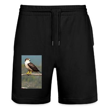 Aigle | Oiseaux | Liberté | Animaux - Short de jogging bio TRAINER Stanley/Stella unisexe - noir - Devant - Nik (191cm) & Marisol (170cm)