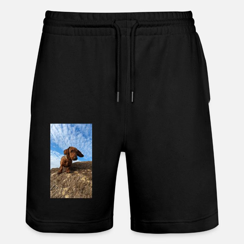 PXL 20221217 140939962 - Short de jogging bio TRAINER Stanley/Stella unisexe - noir