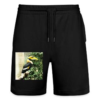 Animal : Calao - Short de jogging bio TRAINER Stanley/Stella unisexe - noir - Devant - Nik (191cm) & Marisol (170cm)