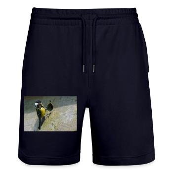 Great Tit Feeding Chicks - Stanley/Stella Trainer Unisex Organic Jogging Shorts - dark navy - Front - Nik (191cm) & Marisol (170cm)