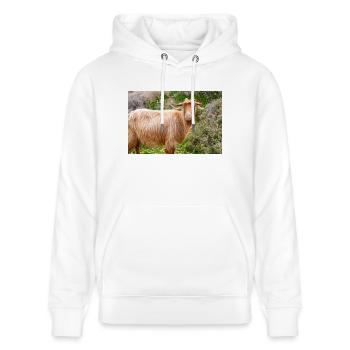 Chèvre de montagne dans le parc national Λίμνη Συμπ - Sweat à capuche bio CRUISER Stanley/Stella Unisexe - blanc - Devant - Alina (178cm) & Michal (187cm)