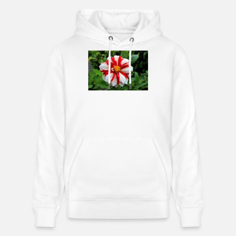 Dahlia blanc rouge fleur, fleur - Sweat à capuche bio CRUISER Stanley/Stella Unisexe - blanc
