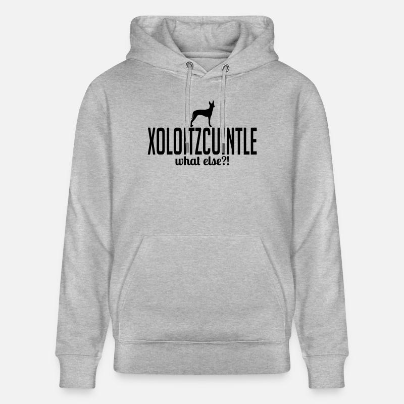 xoloitzcuintle whatelse - Sweat à capuche bio CRUISER Stanley/Stella Unisexe - gris chiné