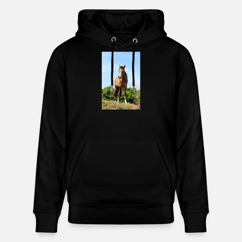 Pferd Pferdeposter - Stanley/Stella Unisex Bio-Hoodie CRUISER  - Schwarz