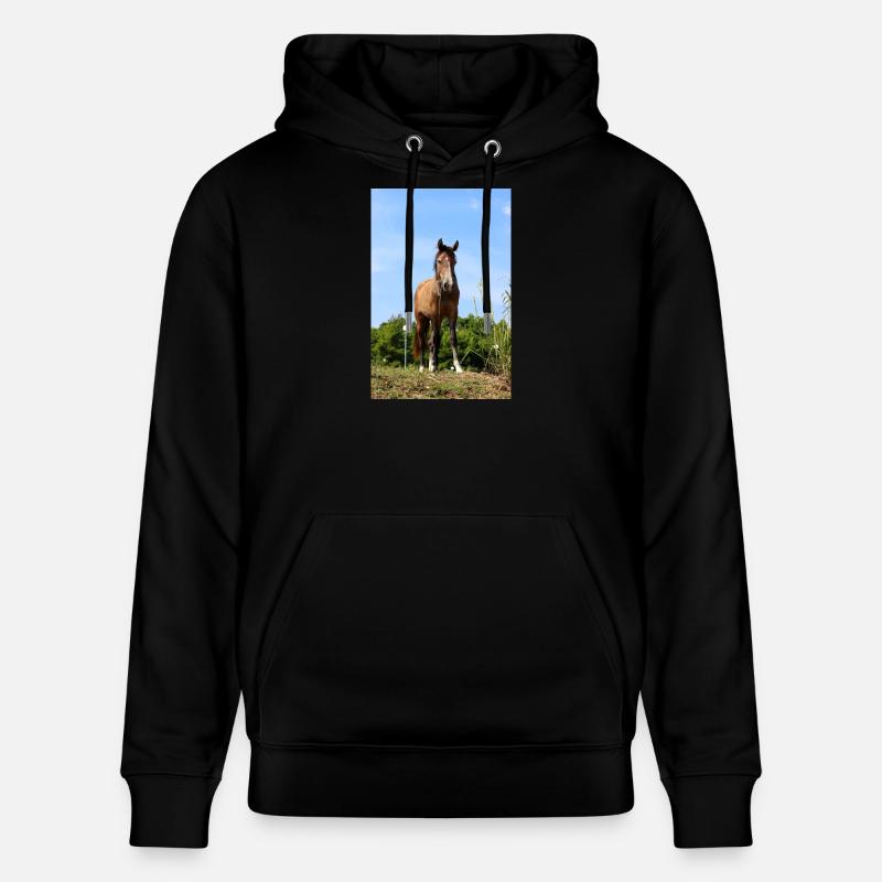 Affiche Cheval Cheval - Sweat à capuche bio CRUISER Stanley/Stella Unisexe - noir