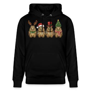 Griechische Landschildkröte Weihnachten Licht - Stanley/Stella Unisex Bio-Hoodie CRUISER  - Schwarz - Vorne - Alina (178cm) & Michal (187cm)