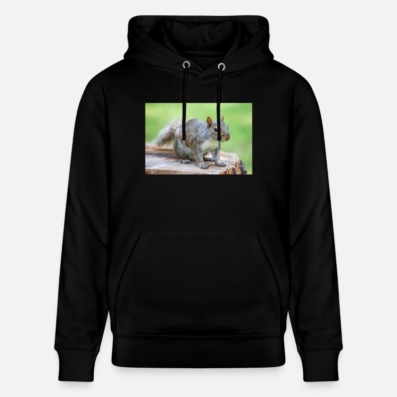 Grey squirrel Grauhörnchen Sciurus carolinensis - Stanley/Stella CRUISER Unisex Organic Hoodie - black