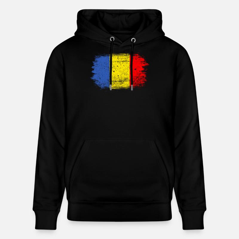 Coup de pinceau Drapeau roumain - Sweat à capuche bio CRUISER Stanley/Stella Unisexe - noir