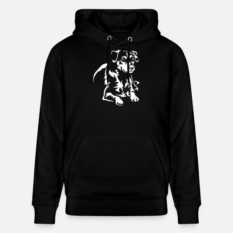 Dansk Svensk Gaardhond « Édition Noire » - Sweat à capuche bio CRUISER Stanley/Stella Unisexe - noir