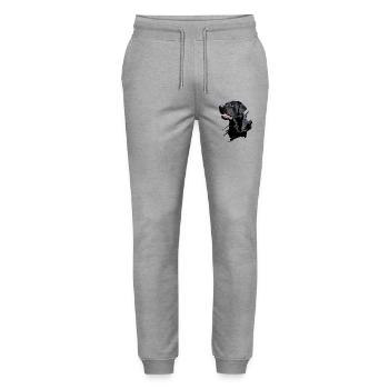 Labrador - Stanley/Stella Mover Unisex Organic Jogging Trousers - heather grey - Front - Marisol (170cm) & Nik (191cm)