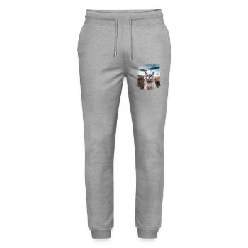 Funny British Shorthair Cat selfie with Alien UFOs - Stanley/Stella Mover Unisex Organic Jogging Trousers - heather grey - Front - Marisol (170cm) & Nik (191cm)