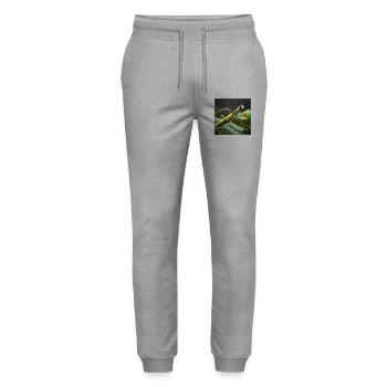 Gottesanbeterin Makro – Elegante Fangschrecke - Stanley/Stella Unisex Bio Jogginghose Mover  - Grau meliert - Vorne - Marisol (170cm) & Nik (191cm)