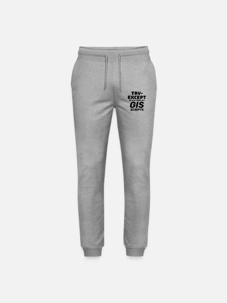 GIS-Skripte Programmieren Ausprobieren außer Debuggen - Stanley/Stella Unisex Bio Jogginghose Mover  - Grau meliert