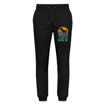 Vintage Dino T-Rex Retro Dinosaur Art from 160M BC - Stanley/Stella Mover Unisex Organic Jogging Trousers - black - Front - Marisol (170cm) & Nik (191cm)