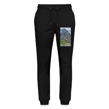 Alpine ibex - Stanley/Stella Mover Unisex Organic Jogging Trousers - black - Front - Marisol (170cm) & Nik (191cm)