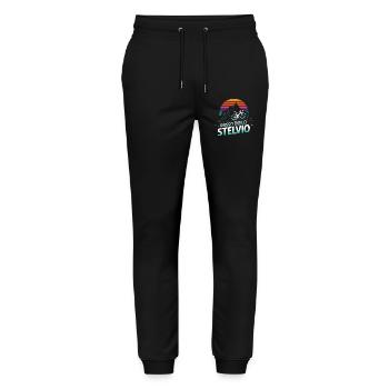 Stelvio Pass, Italy - Stanley/Stella Mover Unisex Organic Jogging Trousers - black - Front - Marisol (170cm) & Nik (191cm)