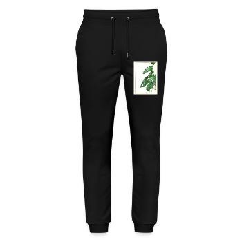 Monstera leaves in gold frame - Stanley/Stella Mover Unisex Organic Jogging Trousers - black - Front - Marisol (170cm) & Nik (191cm)