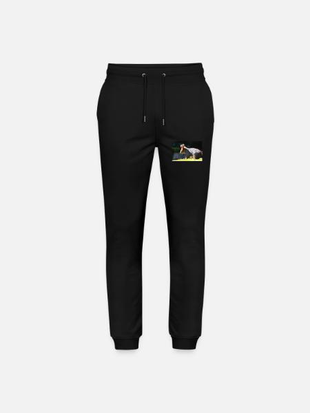 Eichhörnchen, Isibat - Stanley/Stella Unisex Bio Jogginghose Mover  - Schwarz