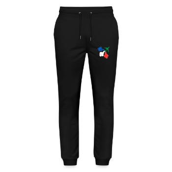Avion militaire Patrouille de France - Pantalon de jogging bio MOVER Stanley/Stella unisexe - noir - Devant - Marisol (170cm) & Nik (191cm)