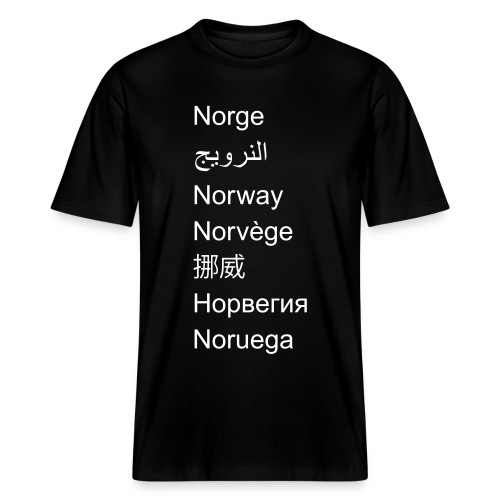 FN-Norge - plagget.no - Stanley/Stella Sparker 2.0 relaxed fit økologisk unisex T-skjorte