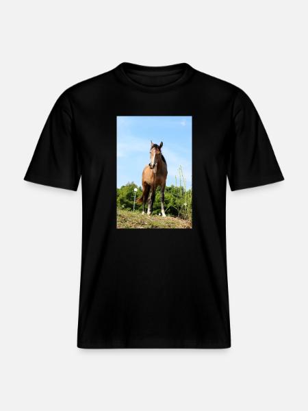 Affiche Cheval Cheval - T-shirt unisexe RELAXED FIT en coton bio - noir