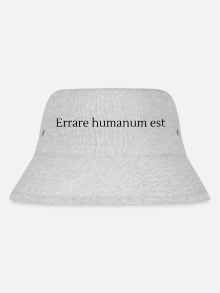 Irren - Stanley/Stella recycelter Bucket Hat - Grau meliert