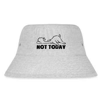 Not today - Tired and lazy - Lama - Stanley/Stella Recycled Bucket Hat - heather grey - Front
