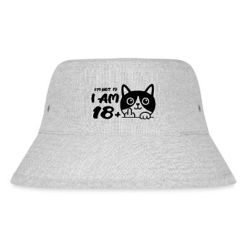 I'm Not 19, I Am 18 Plus 1 Middle Finger Cat Flip - Stanley/Stella Recycled Bucket Hat - heather grey - Front