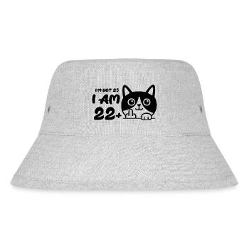 Ich bin nicht 23, ich bin 22 plus 1 Mittelfinger Katze Flip - Stanley/Stella recycelter Bucket Hat - Grau meliert - Vorne