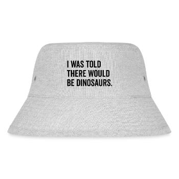I Was Told There Would Be Dinosaurs - Stanley/Stella Recycled Bucket Hat - heather grey - Front