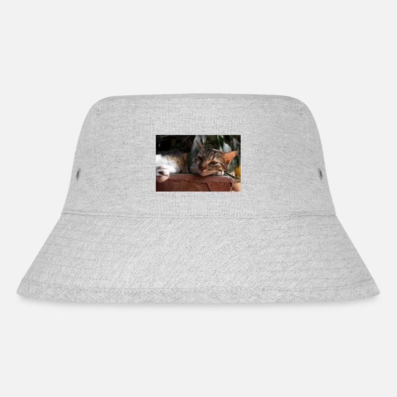 Die Katze - Stanley/Stella recycelter Bucket Hat - Grau meliert