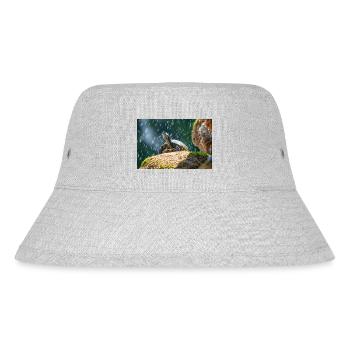 Gelbbauch-Slider Trachemys scripta scripta - Stanley/Stella recycelter Bucket Hat - Grau meliert - Vorne
