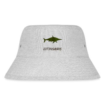 Ichthyosaurus - Stanley/Stella recycelter Bucket Hat - Grau meliert - Vorne