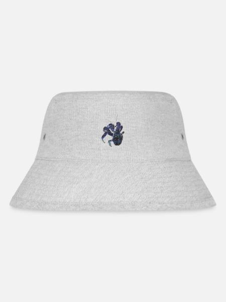 Palmendieb blauer Krebs Birgus latro Einsiedlerkre - Stanley/Stella recycelter Bucket Hat - Grau meliert