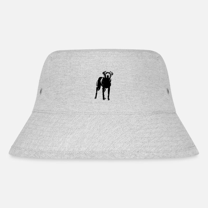 Labrador - Stanley/Stella Recycled Bucket Hat - heather grey