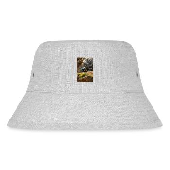 Gelbbauch-Slider Trachemys scripta scripta - Stanley/Stella recycelter Bucket Hat - Grau meliert - Vorne