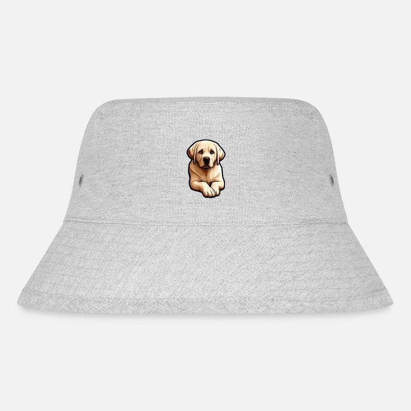 labrador retriever - Bob recyclé Stanley/Stella - gris chiné