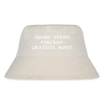 Pourquoi je devrais épargner avec les mots - Bob recyclé Stanley/Stella - blanc naturel - Devant