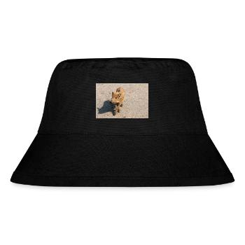 Frischling Wildschwein (Sus scrofa) im Wald - Stanley/Stella recycelter Bucket Hat - Schwarz - Vorne