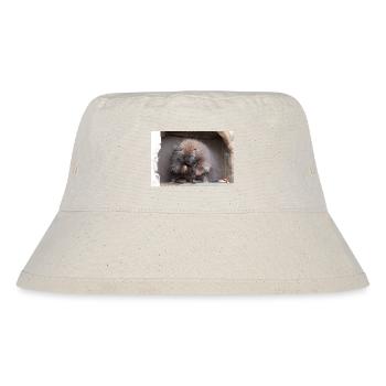 Tree-spined New World porcupines Erethizontidae - Stanley/Stella Recycled Bucket Hat - natural - Front