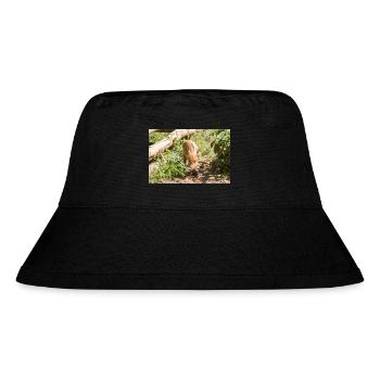 Wildschwein Sus scrofa - Stanley/Stella recycelter Bucket Hat - Schwarz - Vorne