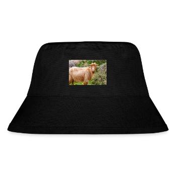 Chèvre de montagne dans le parc national Λίμνη Συμπ - Bob recyclé Stanley/Stella - noir - Devant