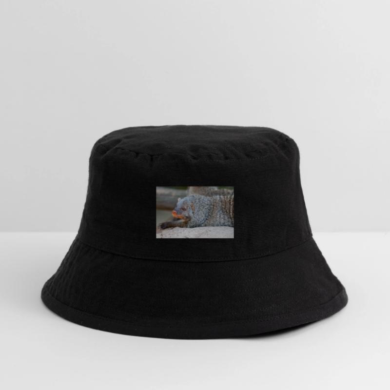 Gebänderte Manguste oder Zebramanguste Zebramanguste Stanley/Stella recycelter Bucket Hat