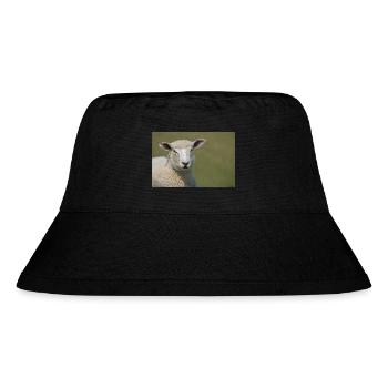 Ein Schaf auf einem Deich Norddeutschland Poster - Stanley/Stella recycelter Bucket Hat - Schwarz - Vorne