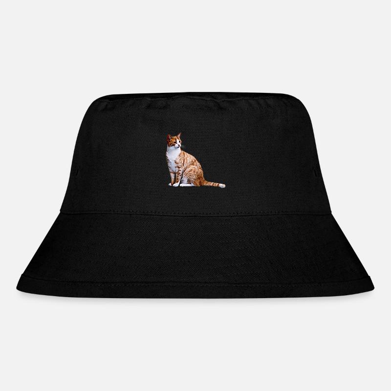 Chat Chat Chat Cat Cats Amour de chat - Bob recyclé Stanley/Stella - noir